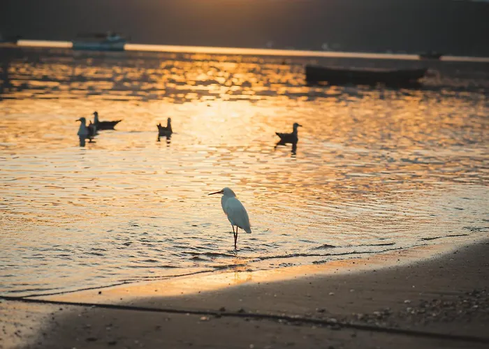 Pousada Canto Do Pescador
