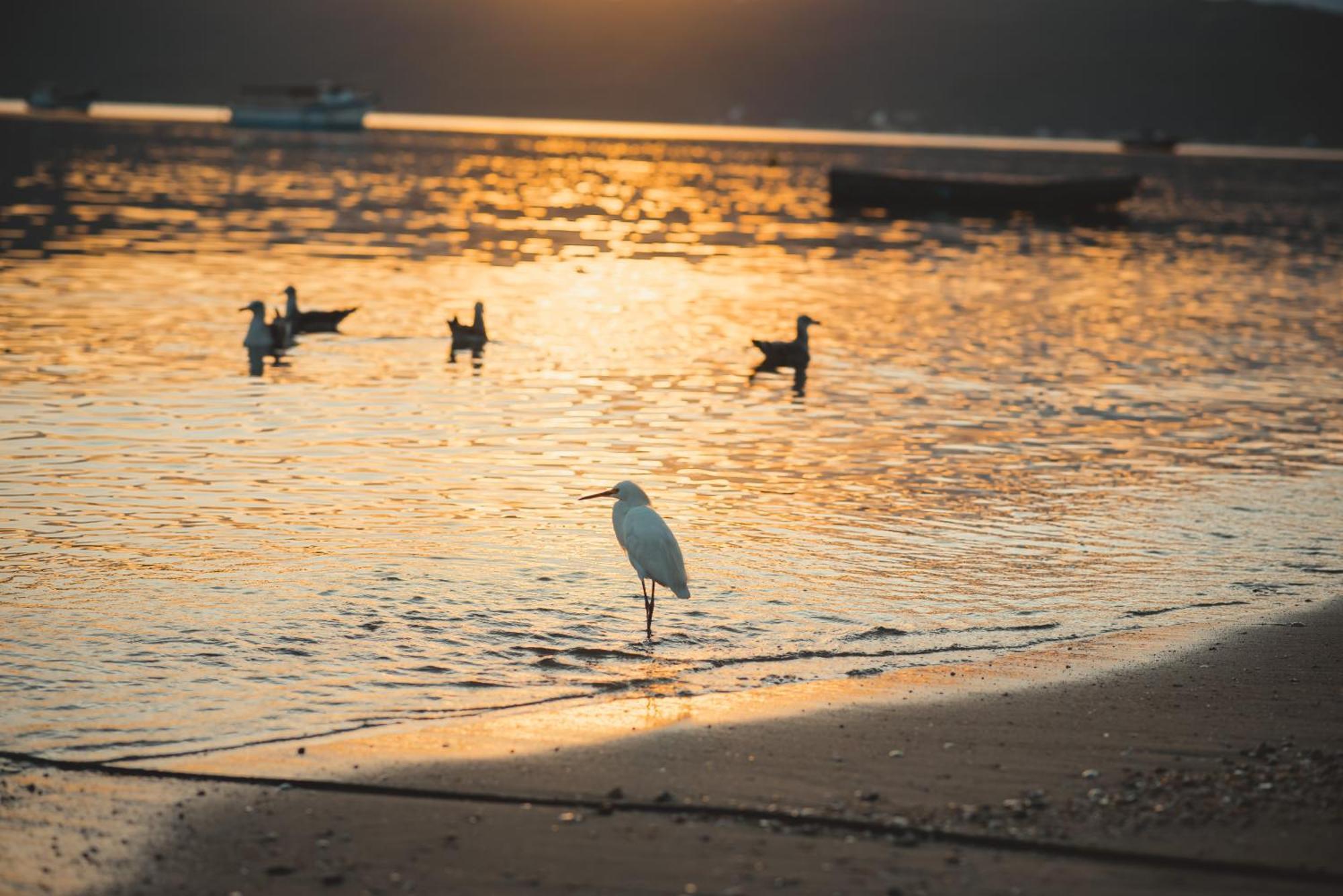 Canto Do Pescador